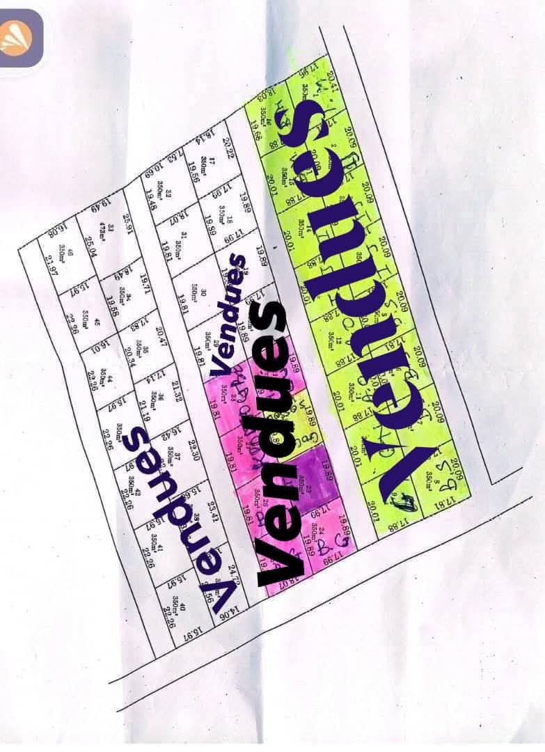 10 PARCELLES MORCELÉES À VENDRE, SÉKOU DOMASSÈ