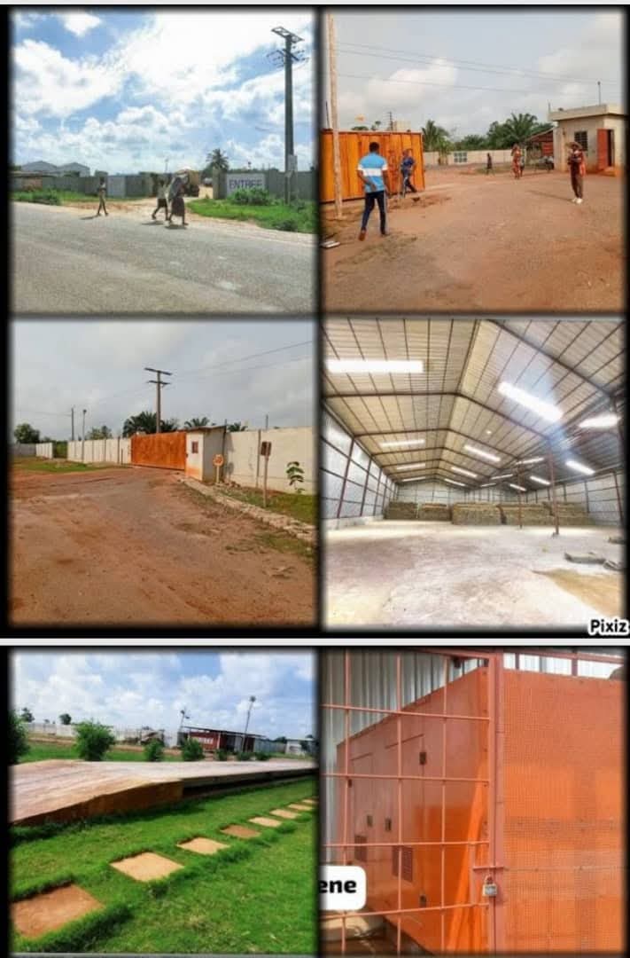 DOMAINE DE 2 HECTARES & 6176M² À VENDRE, YOKPO - Image 4