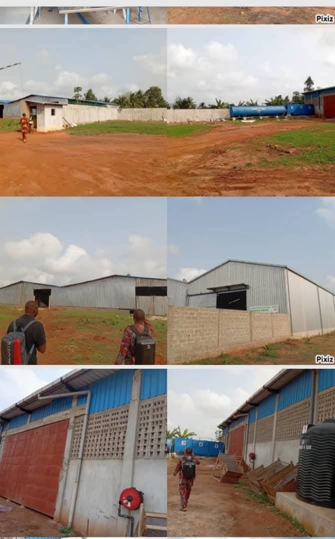 DOMAINE DE 2 HECTARES & 6176M² À VENDRE, YOKPO - Image 5