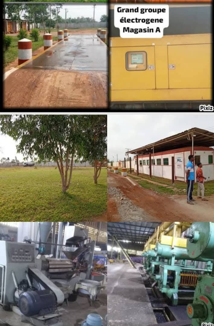 DOMAINE DE 2 HECTARES & 6176M² À VENDRE, YOKPO - Image 8