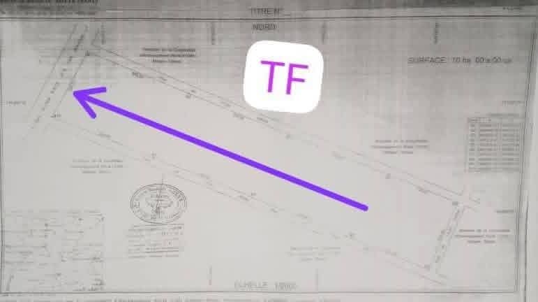 DOMAINE CLÔTURÉ DE 10 HECTARES À VENDRE, CAMP GUÉZO - ALLADA