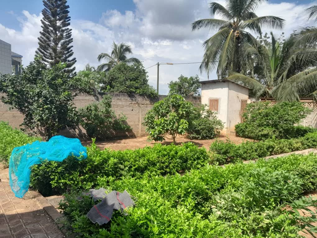 VILLA DE 2 CHAMBRES & SALON SANITAIRES À VENDRE, ZOCA - HÔPITAL INTERNATIONAL CHIC - CALAVI - Image 3