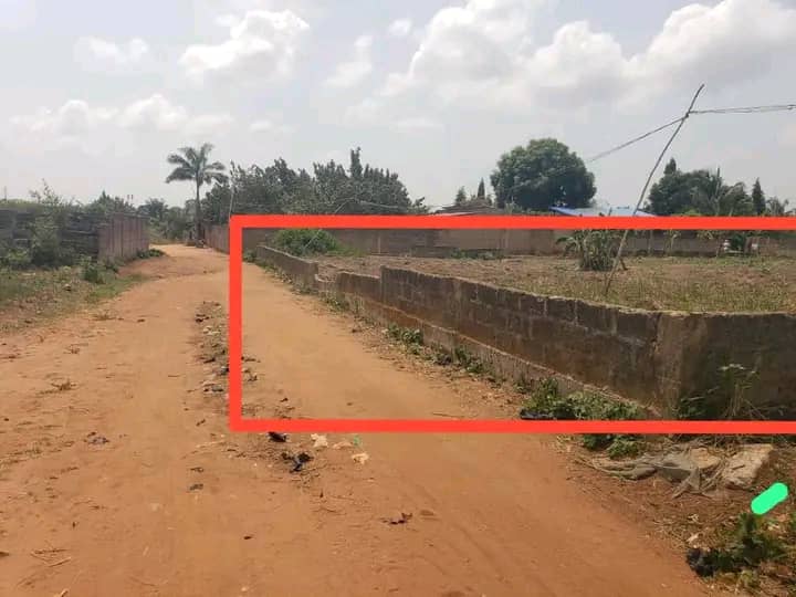 2 PARCELLES EN ANGLE DE RUE LOTIES & RECASÉES À VENDRE, KPOSSOUHOUÉ - GBÉTAGBO - LIBS - CALAVI - Image 3