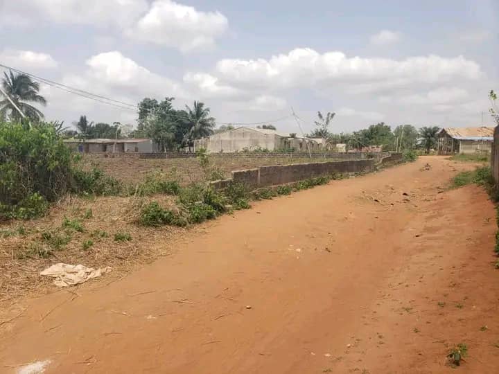 2 PARCELLES EN ANGLE DE RUE LOTIES & RECASÉES À VENDRE, KPOSSOUHOUÉ - GBÉTAGBO - LIBS - CALAVI - Image 4