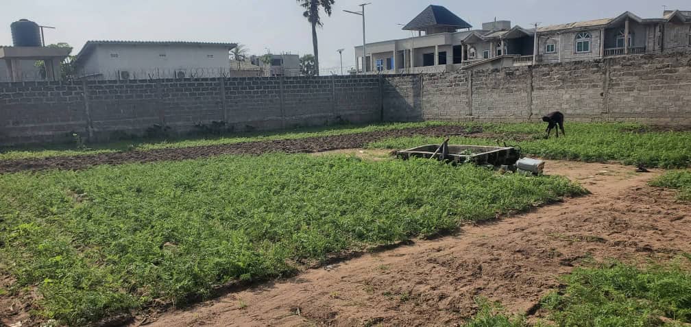 PARCELLE CLÔTURÉE LOTIE ET RECASÉE À VENDRE, ROUTE DES PÊCHES - BAR PÉTANK - FIDJROSSÈ PLAGE