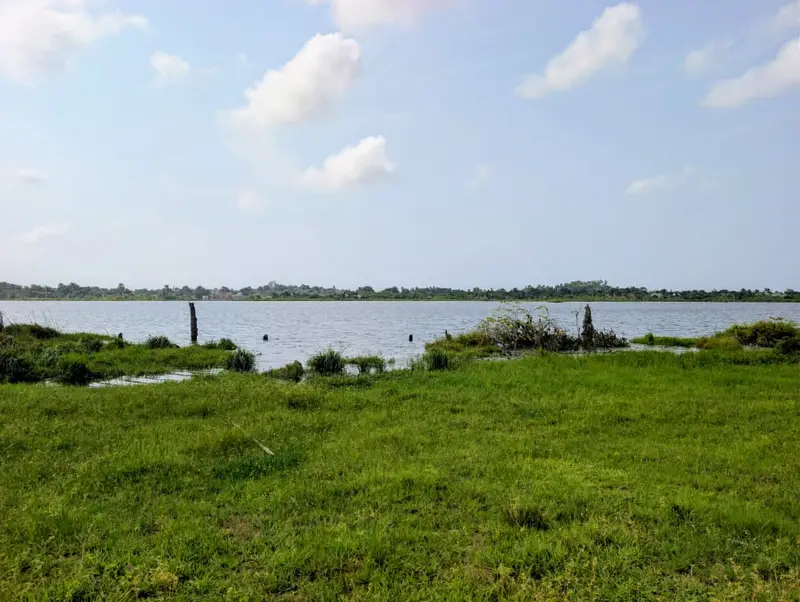 DOMAINE CLÔTURÉ D'1 HECTARE & 4779M² À VENDRE, LAC TOHO - CENTRE ÉCOLOGIQUE JEAN PLIYA - PIGEON BLANC - PAHOU